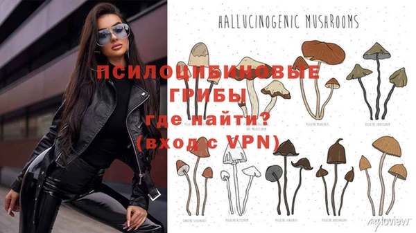 ешки Новозыбков