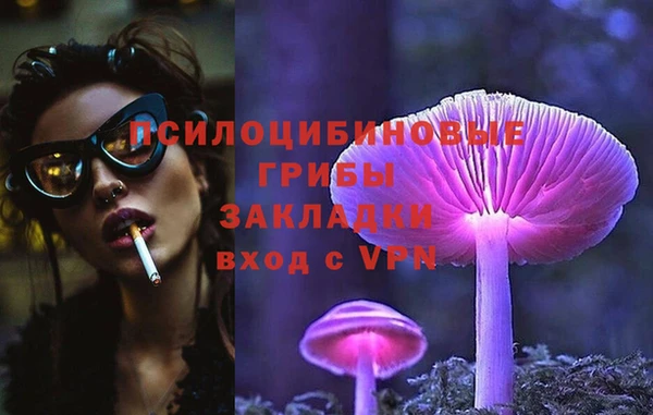 герыч Новокубанск