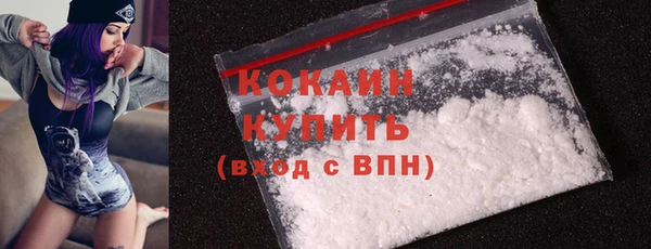 ешки Новозыбков