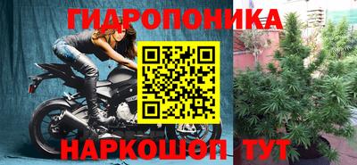 гидра Волгодонск