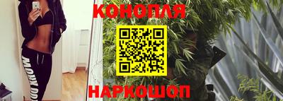 прущий лед Гай