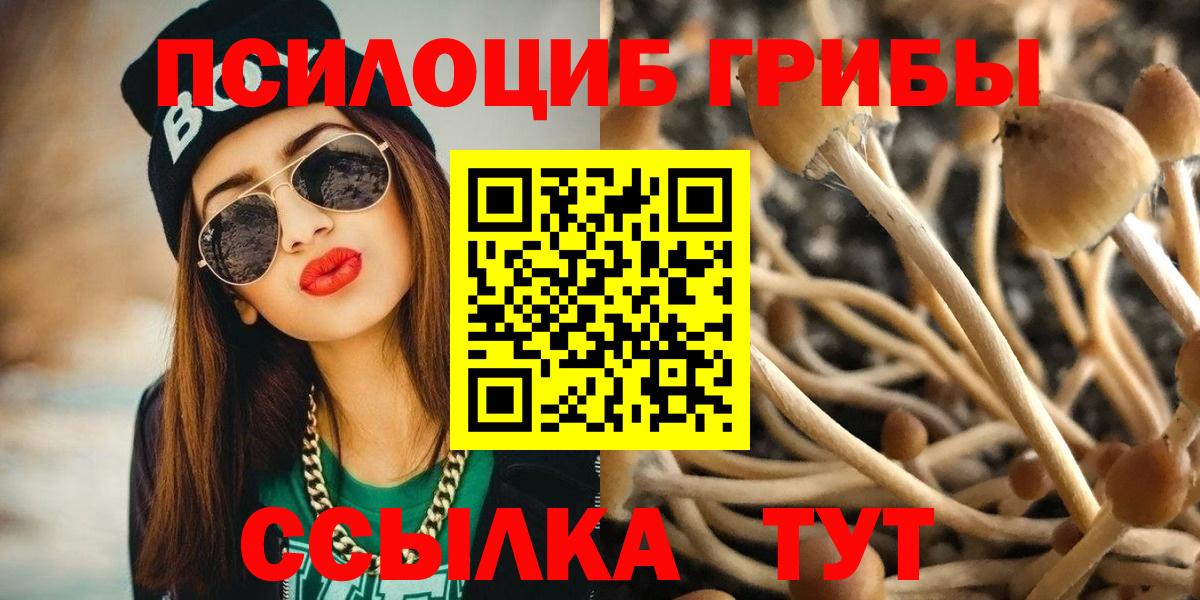Галлюциногенные грибы Cubensis  Псилоцибиновые грибы GOLDEN TEACHER  Родники 