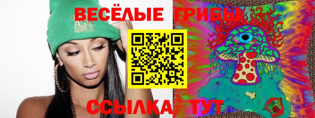 Псилоцибиновые грибы прущие грибы  Вход с VPN  Родники 