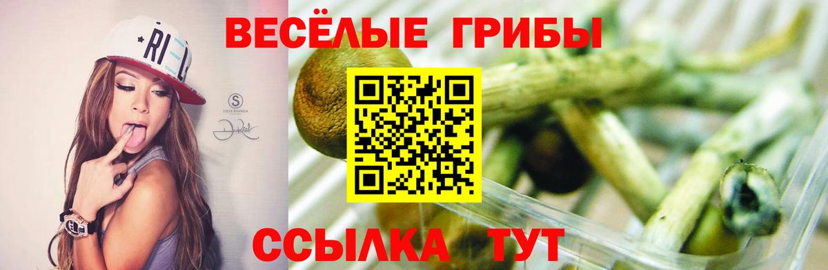 Галлюциногенные грибы MAGIC MUSHROOMS Родники