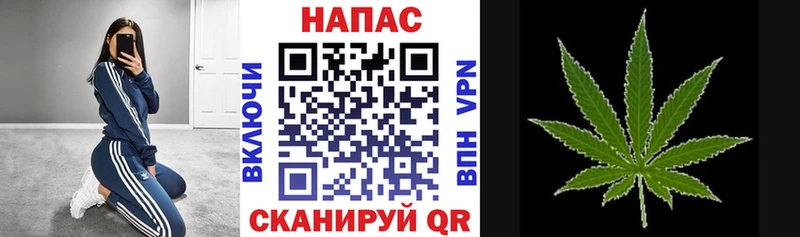 Бошки Шишки AK-47  купить наркотик  Родники 